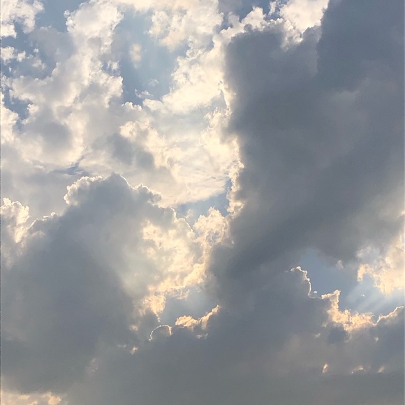 Meet your Posher, Nathan - Picture 1 of 1